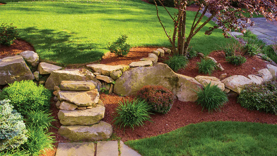 lots of slabs under a tree