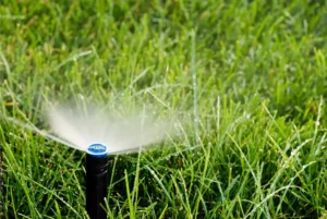 Sprinkler on green grass
