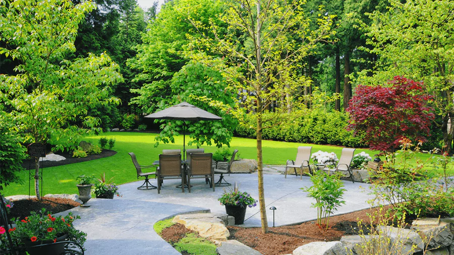 a beautiful green lawn with so many chairs, one table and lots of trees