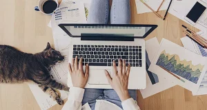 Top view of a person working remotely on a laptop surrounded by business charts, documents, coffee, and a cat, illustrating a cozy and productive home office environment.
