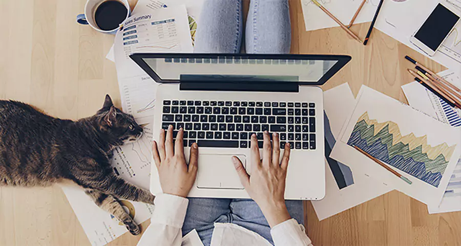 Top view of a person working remotely on a laptop surrounded by business charts, documents, coffee, and a cat, illustrating a cozy and productive home office environment.